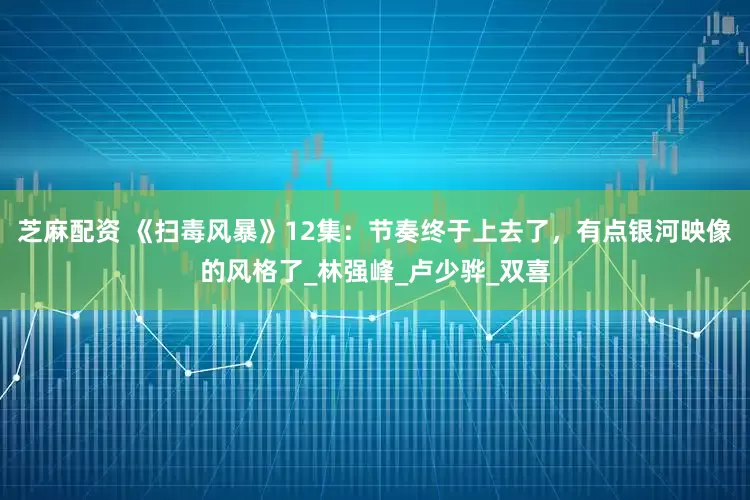 芝麻配资 《扫毒风暴》12集：节奏终于上去了，有点银河映像的风格了_林强峰_卢少骅_双喜